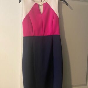 Enfocus Studio Pink and Navy Midi Dress